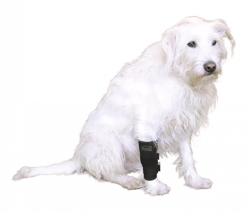 Vetlando Stützbandage S